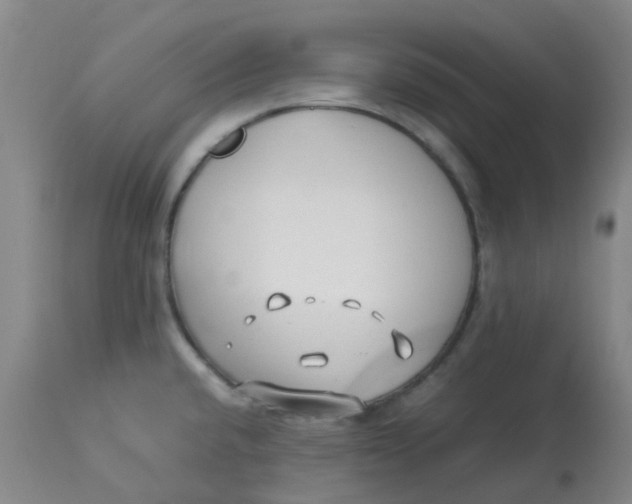 X0000113151432200909251317