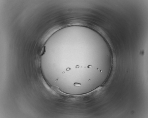 X0000113151433200909251317