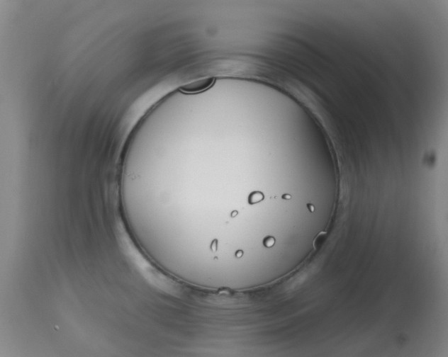 X0000113151434200909251317