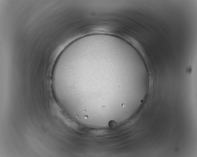 X0000113151435200909251317