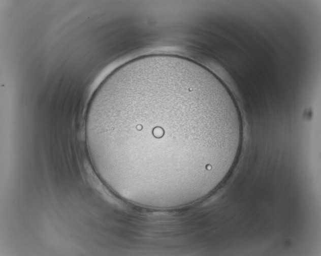 X0000113151436200909251317