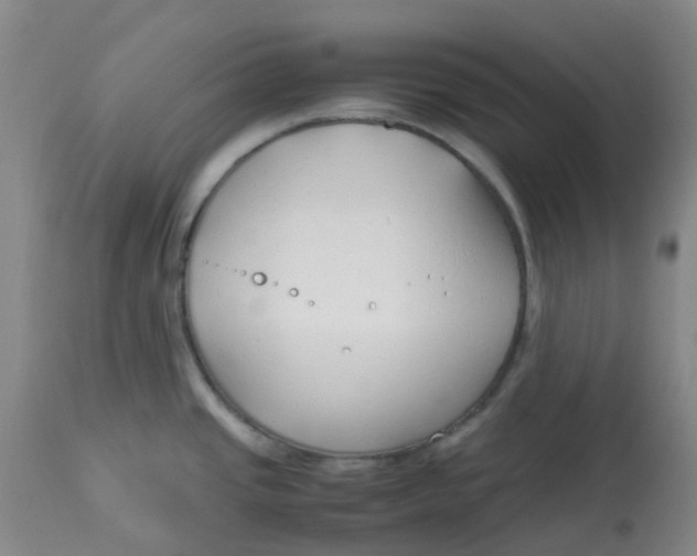 X0000113151437200909251317