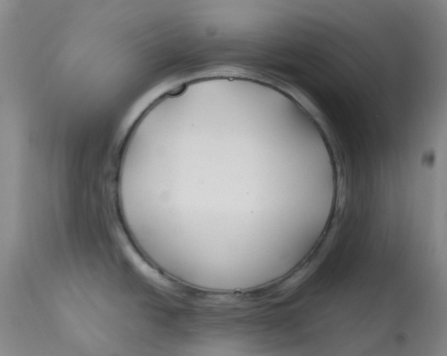 X0000113151438200909251317