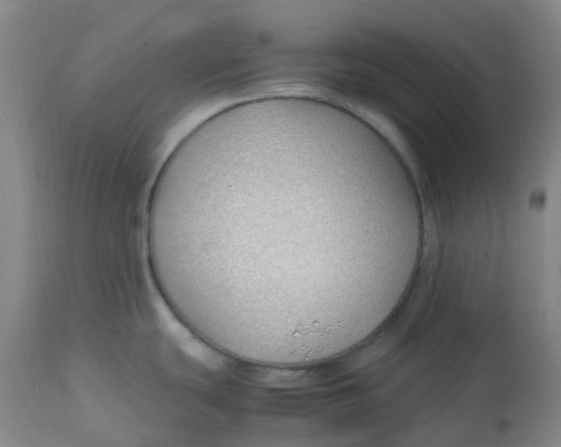 X0000113151439200909251317