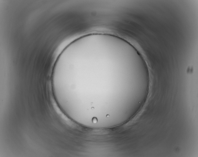 X0000113151440200909251317