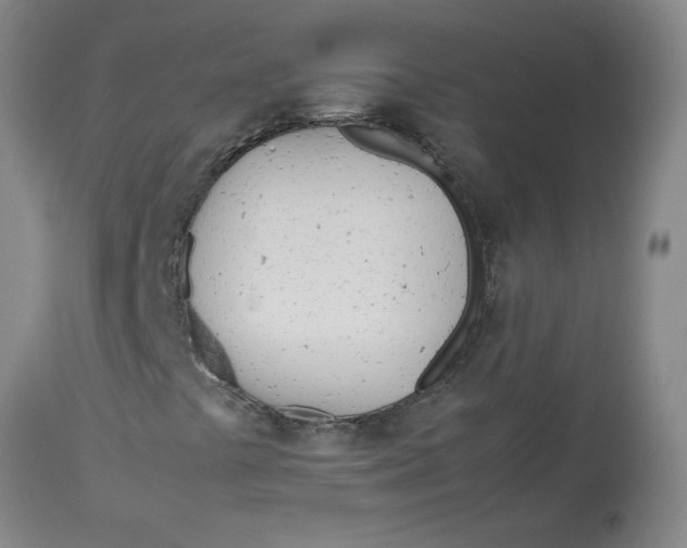 X0000113151441200909251317