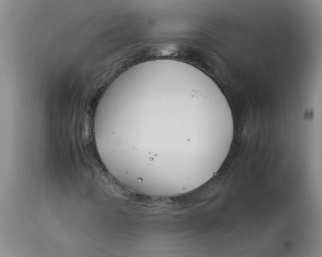 X0000113151442200909251316