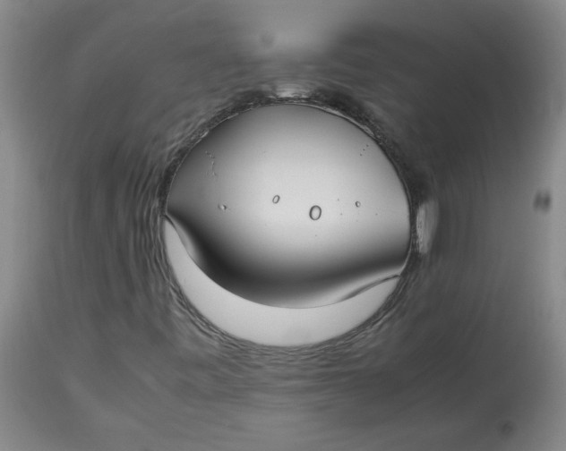 X0000113151443200909251316