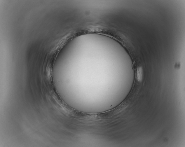 X0000113151444200909251316