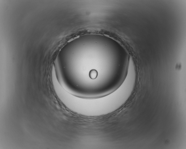 X0000113151445200909251316