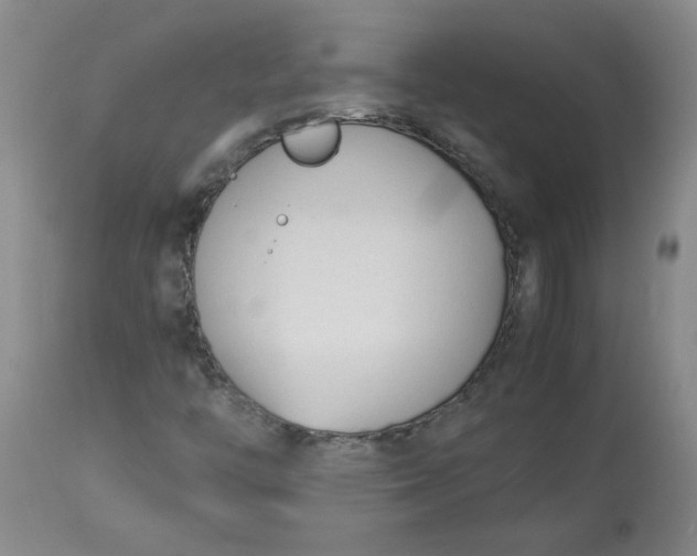 X0000113151446200909251316