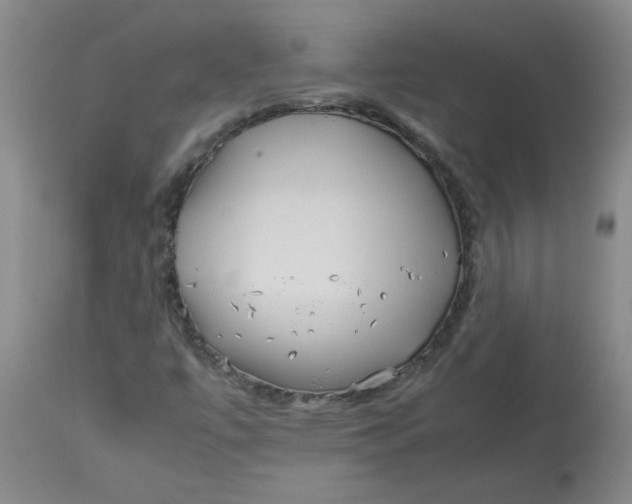 X0000113151447200909251316