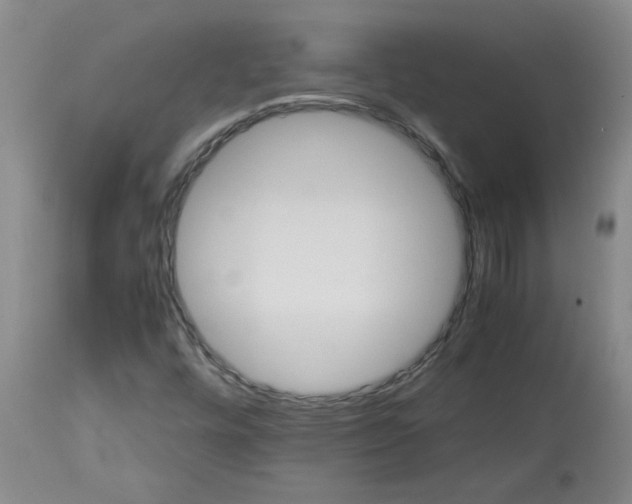 X0000113151448200909251316