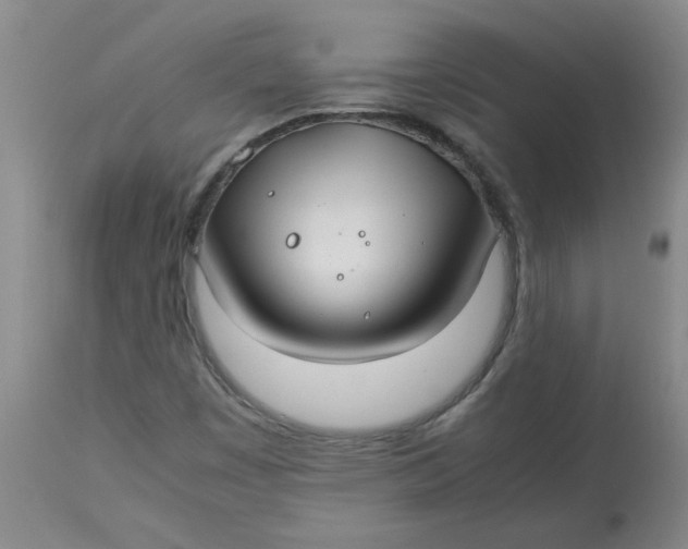 X0000113151449200909251316