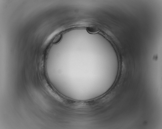 X0000113151450200909251316