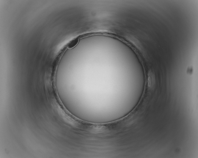 X0000113151452200909251316