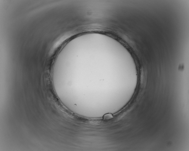 X0000113151453200909251316