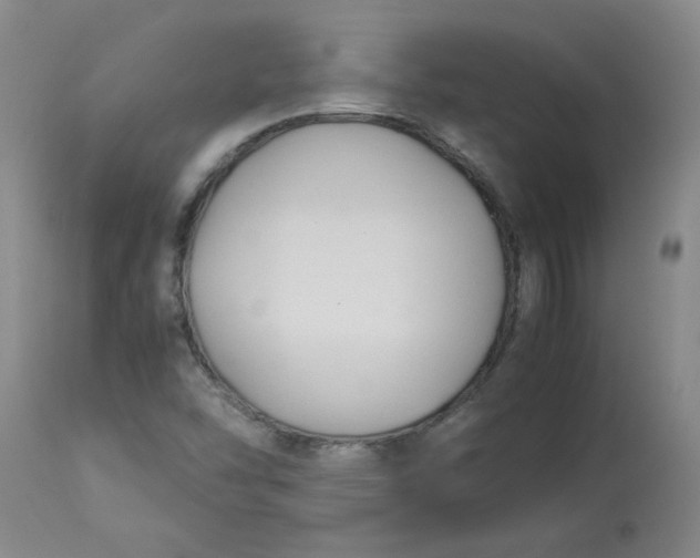 X0000113151454200909251316