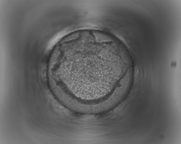 X0000113151455200909251316