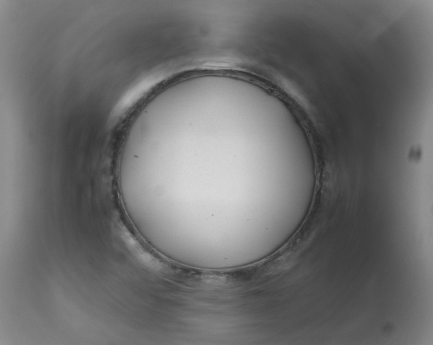 X0000113151456200909251316