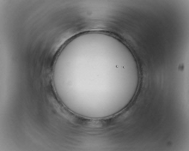 X0000113151457200909251316