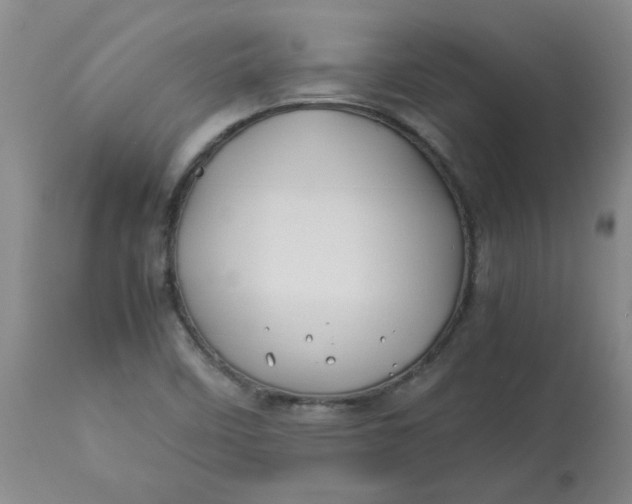 X0000113151458200909251316