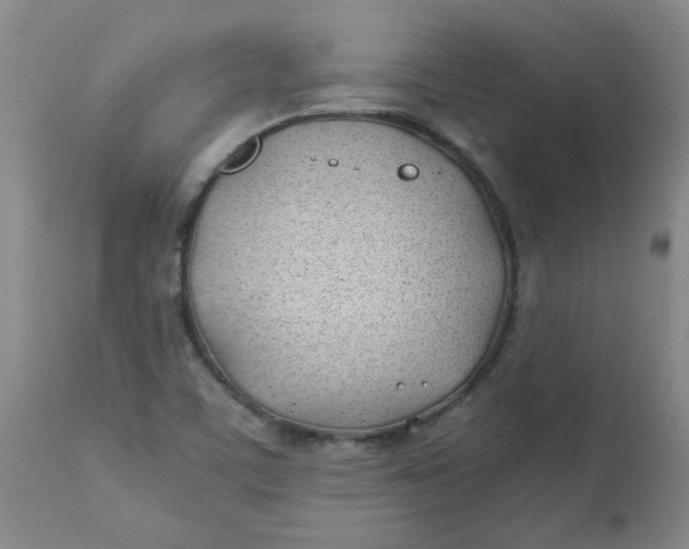 X0000113151459200909251316