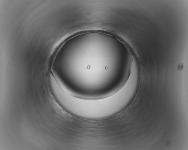 X0000113151460200909251316