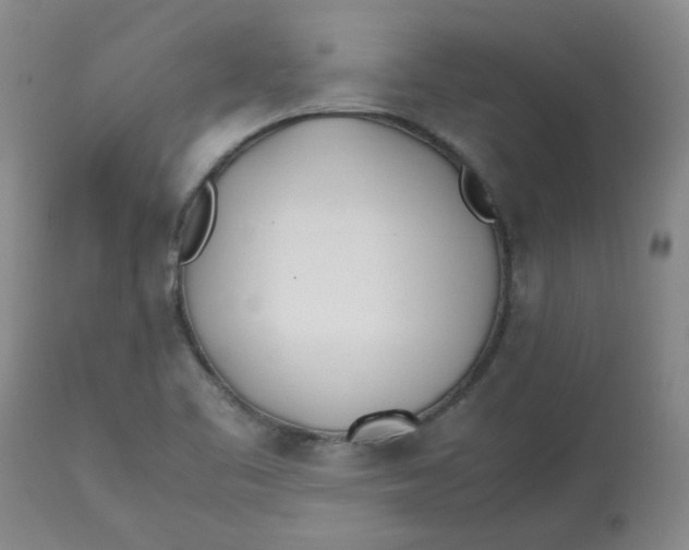 X0000113151461200909251316