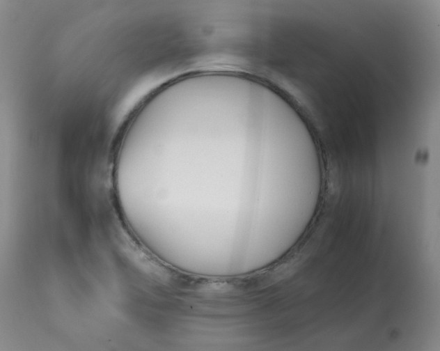 X0000113151462200909251316