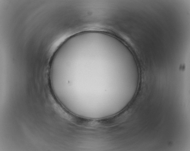 X0000113151463200909251316