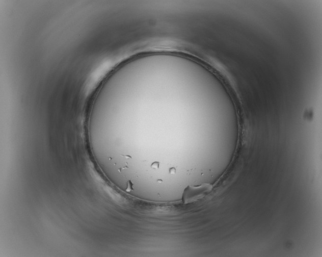 X0000113151464200909251316