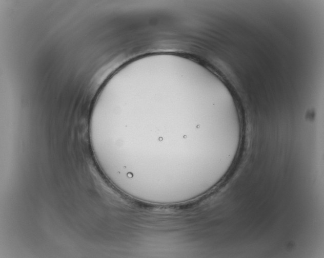 X0000113151465200909251316