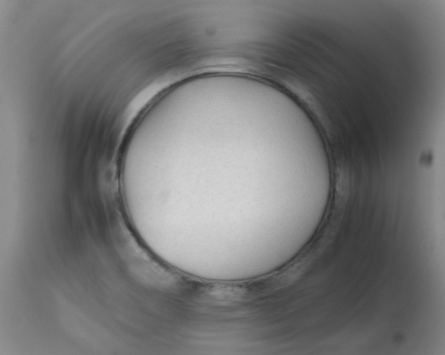 X0000113151466200909251316