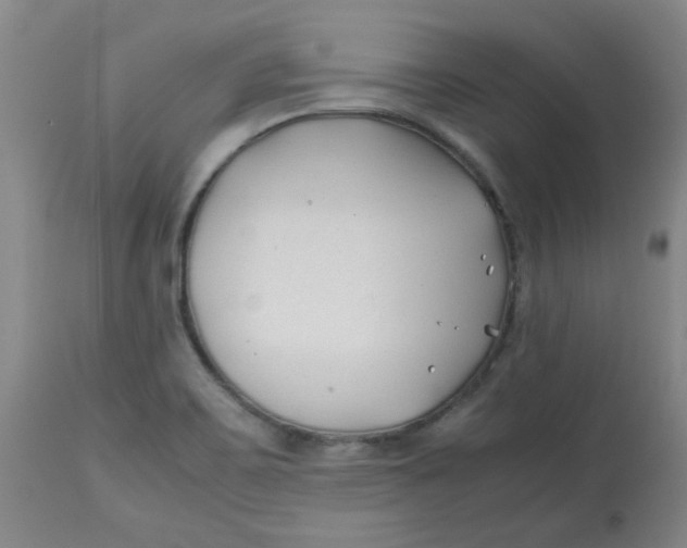 X0000113151467200909251316