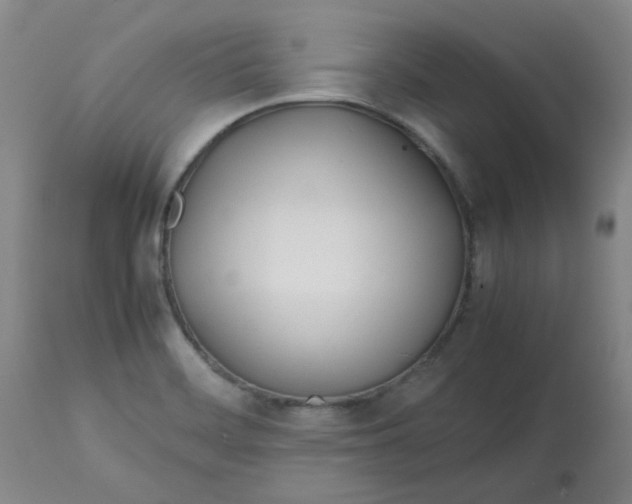 X0000113151468200909251316