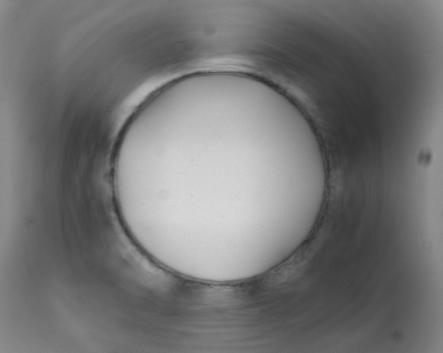 X0000113151470200909251316