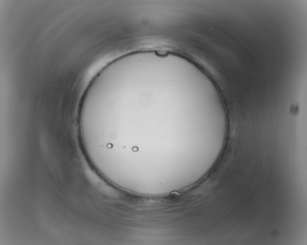 X0000113151471200909251316