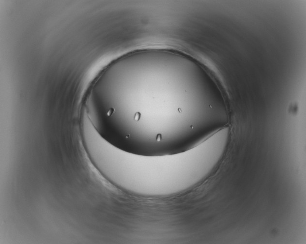 X0000113151472200909251316