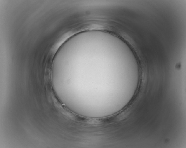 X0000113151473200909251316