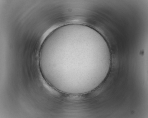 X0000113151474200909251316