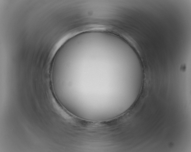 X0000113151475200909251316