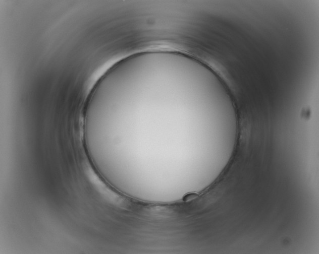 X0000113151476200909251316