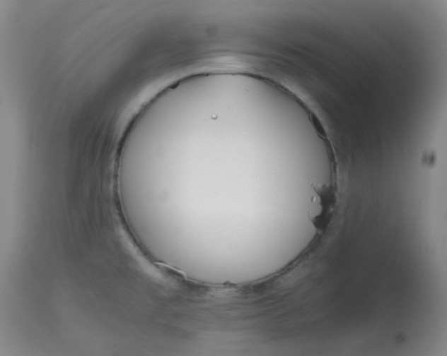 X0000113151477200909251316