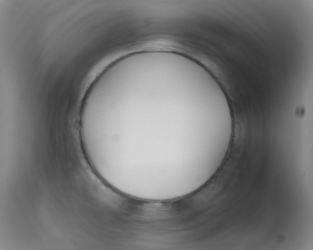 X0000113151478200909251316