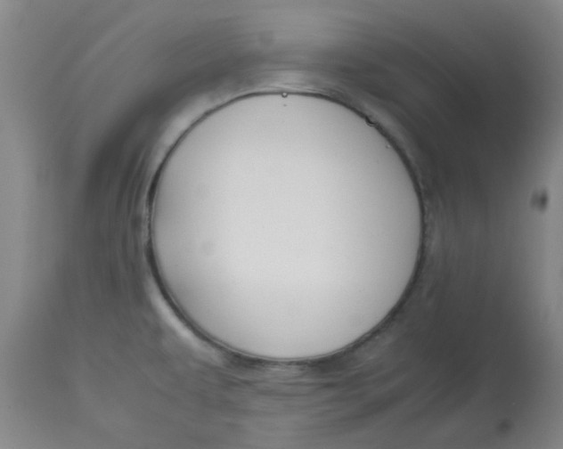 X0000113151479200909251316