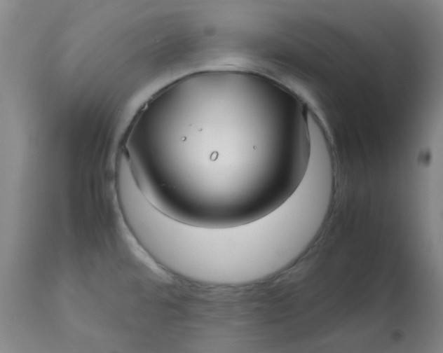 X0000113151480200909251316