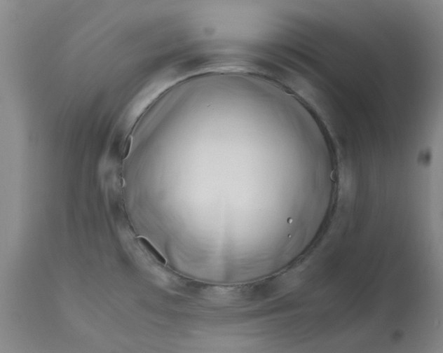 X0000113151481200909251316