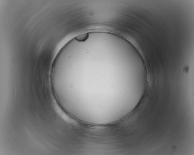 X0000113151482200909251316