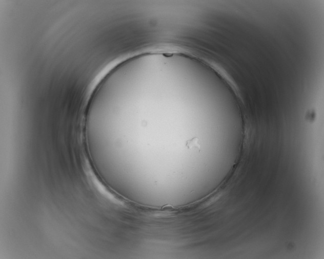 X0000113151484200909251316